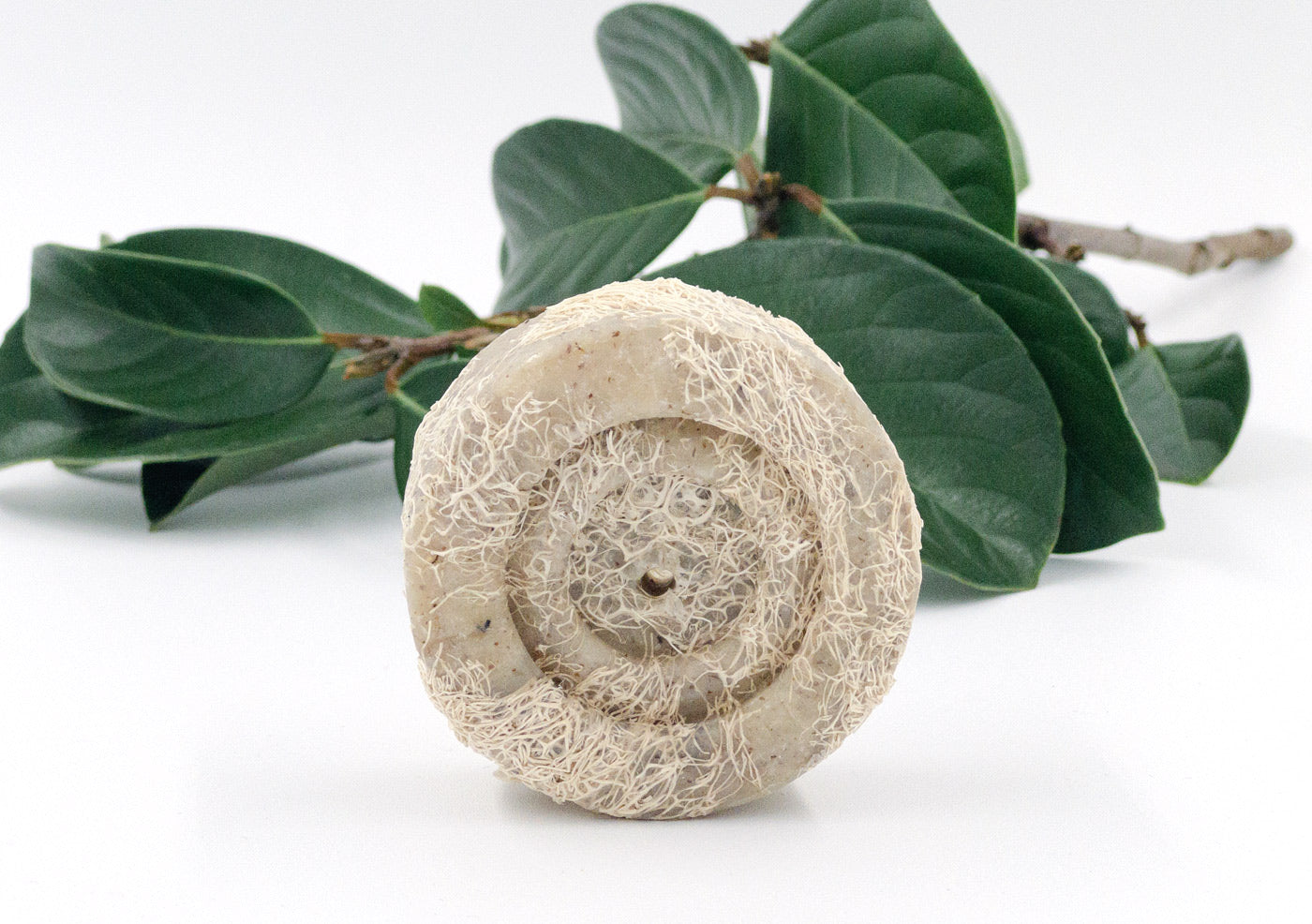 Wild Mint Herbal Soap with Loofah