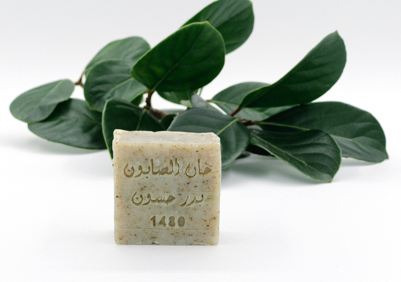 Wild Mint Herbal Soap