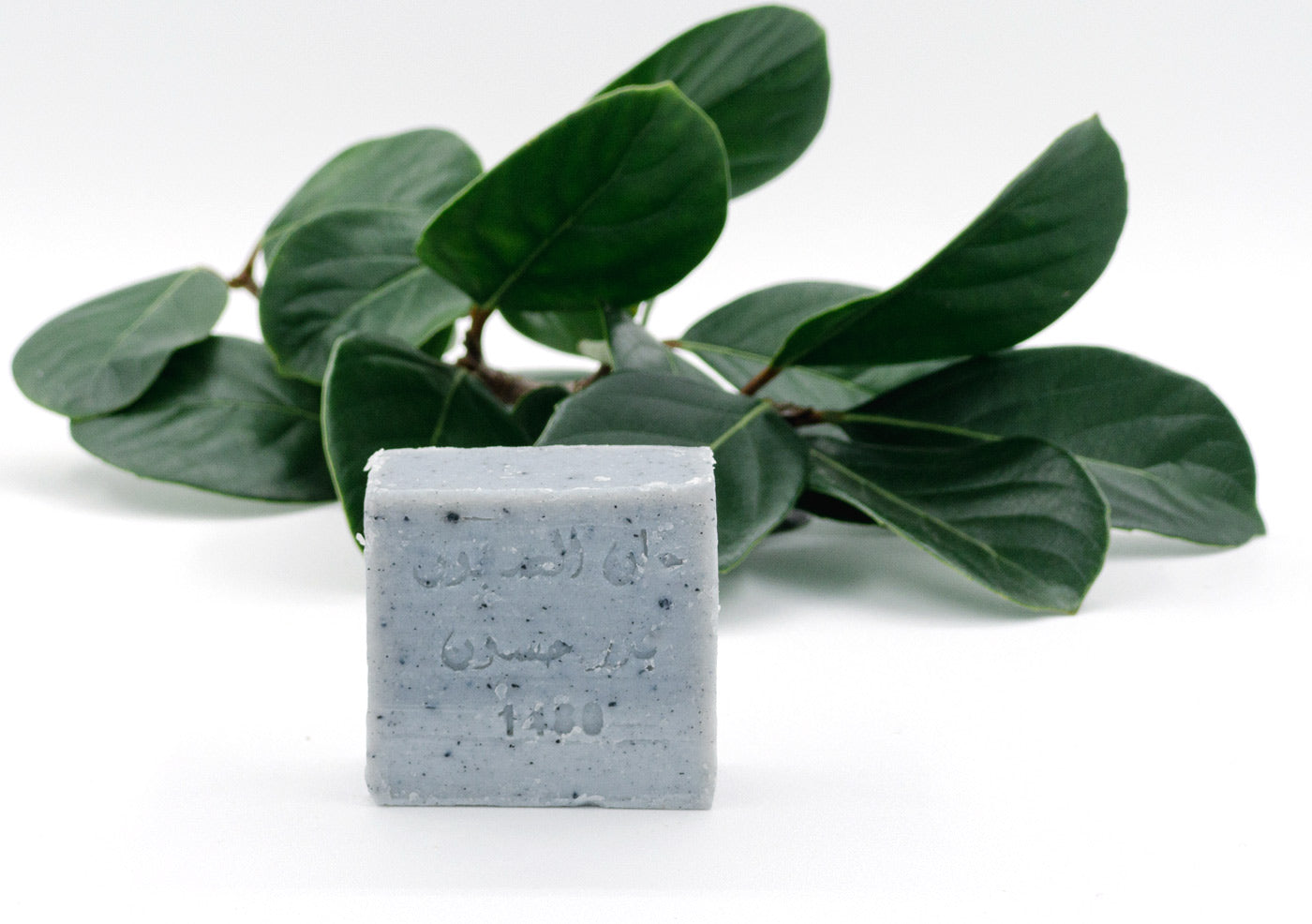 Charcoal Herbal Soap (6 Pack)